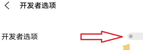 一加9pro如何关闭开发者模式-一加9pro关闭开发者模式操作分享