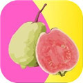 花季传媒app黄