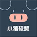 成版人看片app